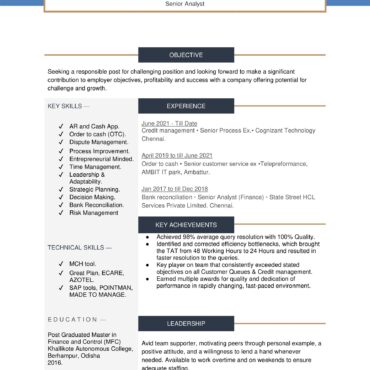 4226-Senior Analyst