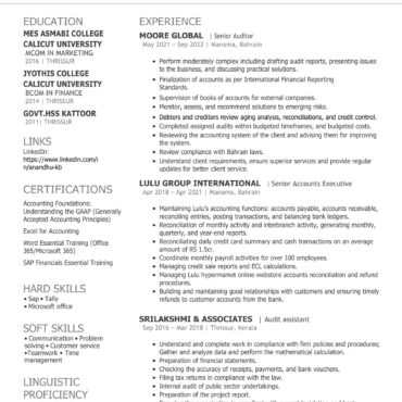 3114 - Senior Accountant