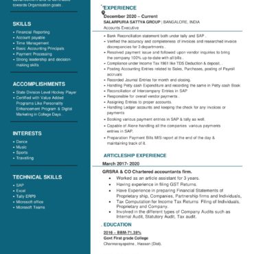 4200-Junior Accountant