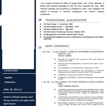 3232 - Chartered Accountant Experienced