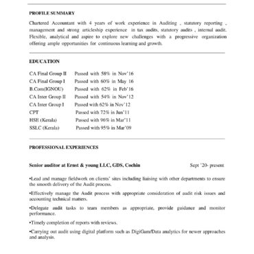 3731 - Senior Accountant