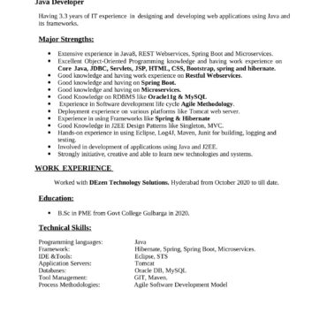 3484 - Java Developer