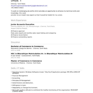 2813-Junior Accountant