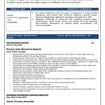 3163 - Senior Accountant
