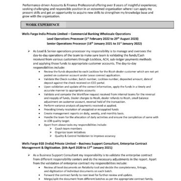 3196- Senior Accountant
