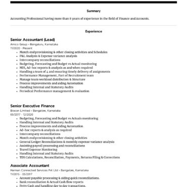 4155-Senior Accountant
