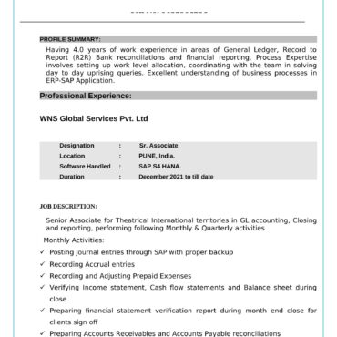 3161 - Senior Accountant