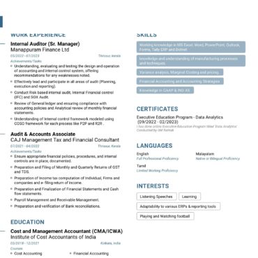 3223 - Chartered Accountant Experienced