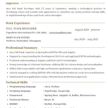 3478 - Software Developer