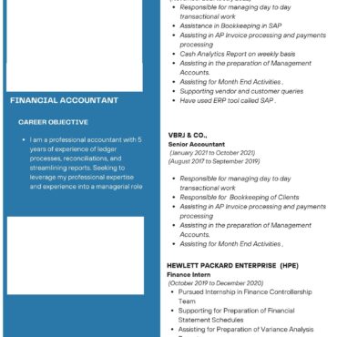 1917-Senior Accountant