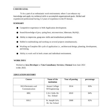 3475 - Java Developer