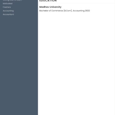 3290 - Junior Accountant
