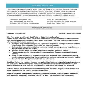 2083-Business Development Executive