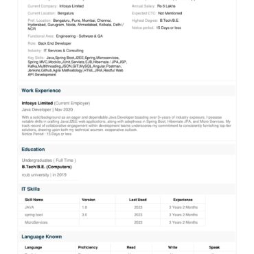 3471 - Java Developer