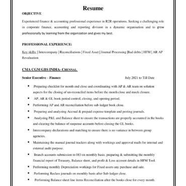 1875-Senior Accountant