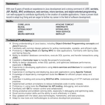 3466 - Java Developer