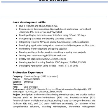 3465 - Java Developer