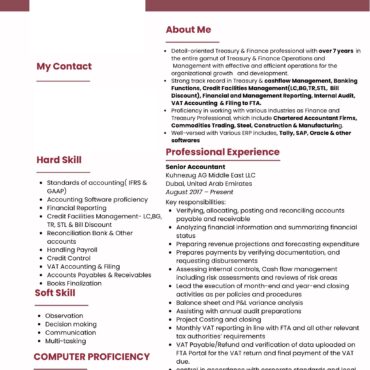 2405-Senior Accountant