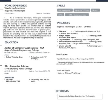 4098-Wordpress Developer