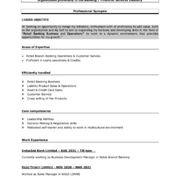 2087-Business Development Executive