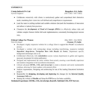 4093-Wordpress Developer