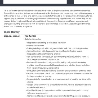 2393-Senior Accountant