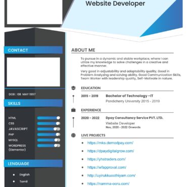 4094-Wordpress Developer