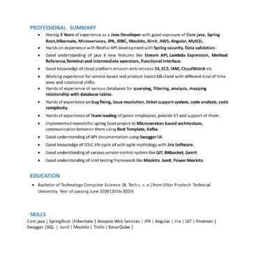 3459 - Java Developer