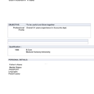 3274 - Senior Accountant