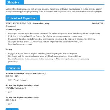 4090-Wordpress Developer