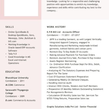 2469-Senior Accountant