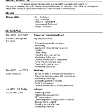 3531 - Business Development Executive