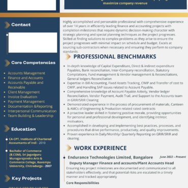 2353-Senior Accountant