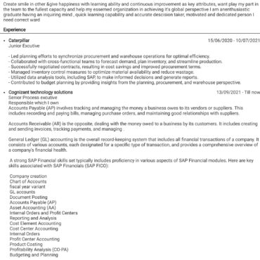 3211 - Senior Accountant
