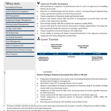 3313 - Chartered Accountant Experienced