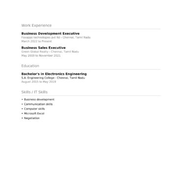 2208-Business Development Executive