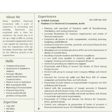 3305 - Chartered Accountant Experienced