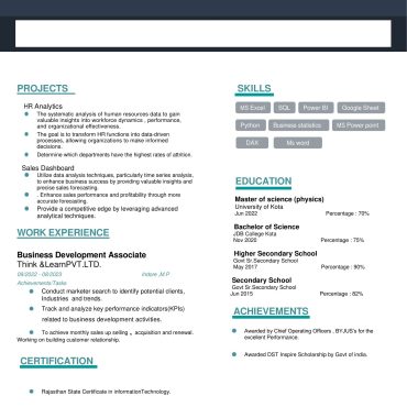 2009-Business Development Executive