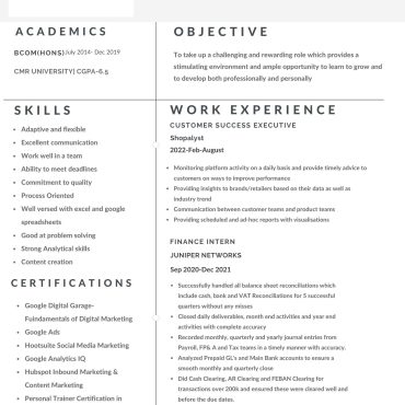 341-Customer Support Executive