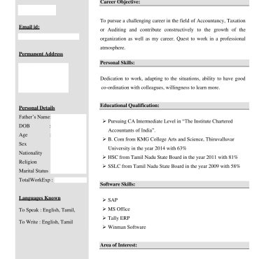 824-Senior Accountant