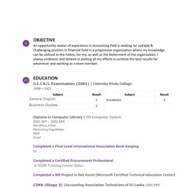 1074 - Junior Accountant