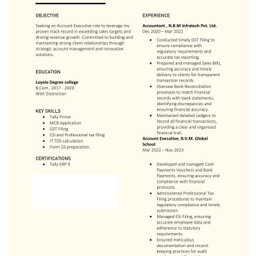 242-Senior Accountant