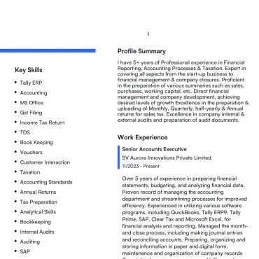 1336 - Senior Accountant