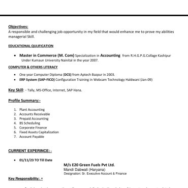 173-Senior Accountant