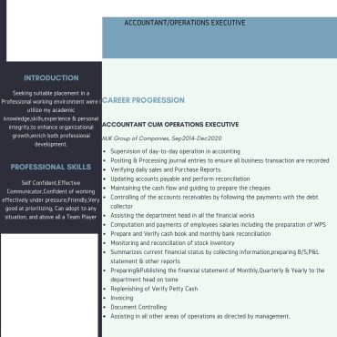 11977 - Senior Accountant