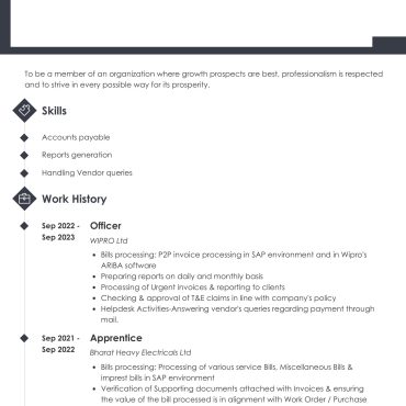 11979 - Junior Accountant
