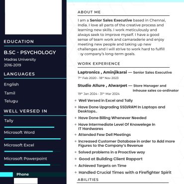 12718-Sales Executive