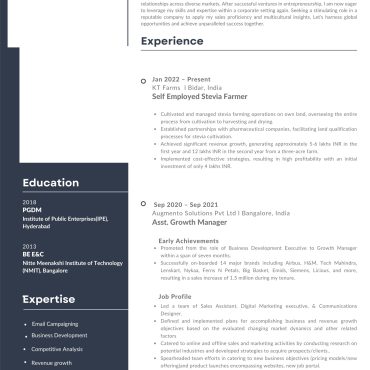 12641 - Sales Executive