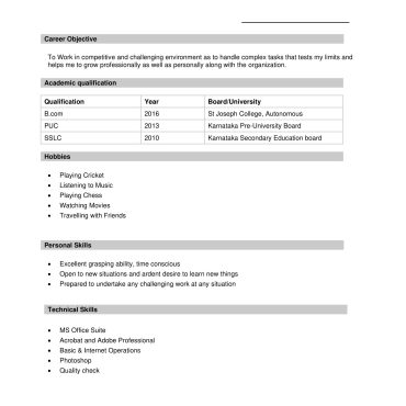 12595 - Sales Executive