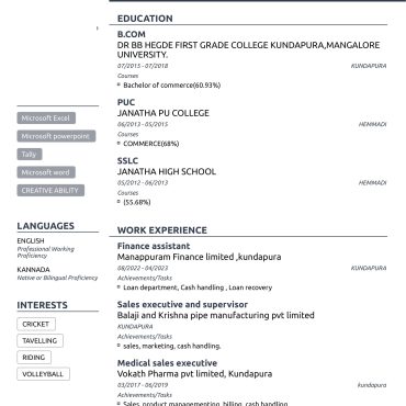 12651 - Sales Executive